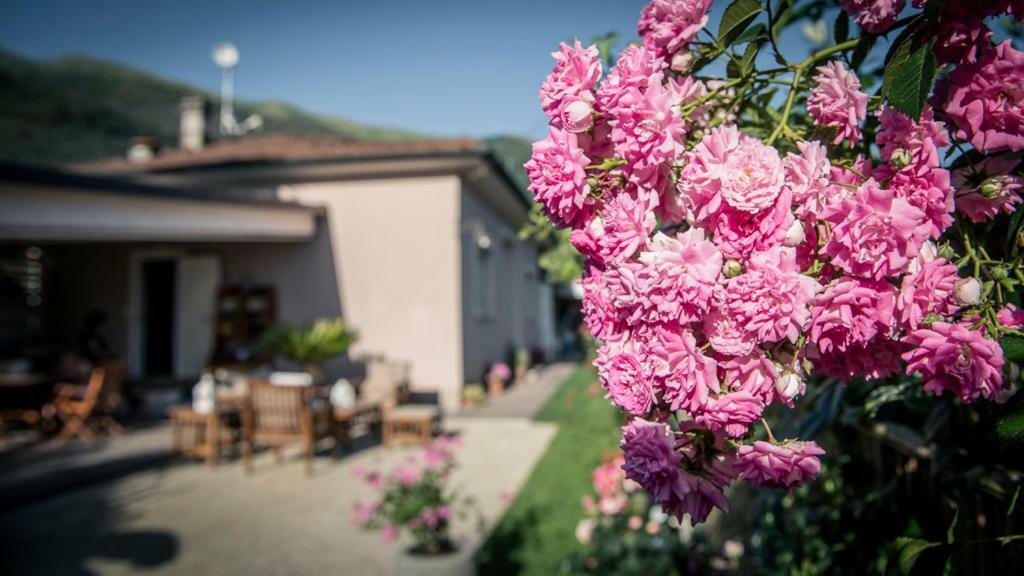 카마이오레 Casa Vittoria 빌라 외부 사진
